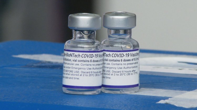 Covid-19: Pfizer entrega 2,6 milhões de doses da vacina ao Brasil em 2 voos nesta sexta