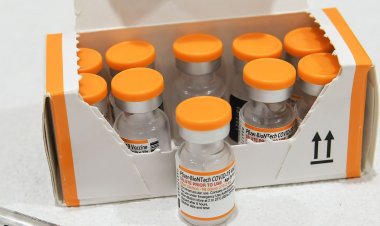 Pfizer antecipará 600 mil doses da vacina pediátrica contra a covid-19