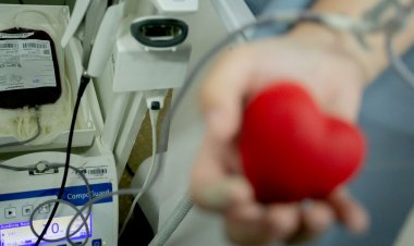 Into pede ajuda para elevar número de doadores de sangue