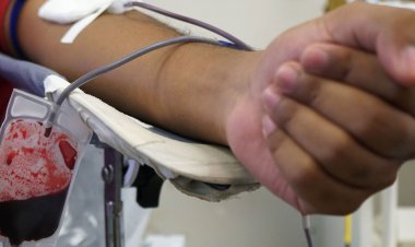 Fundação Pró-Sangue de São Paulo tem estoques em nível crítico