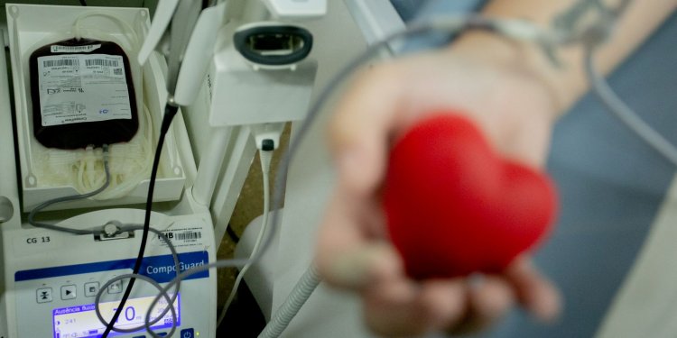Into pede ajuda para elevar número de doadores de sangue