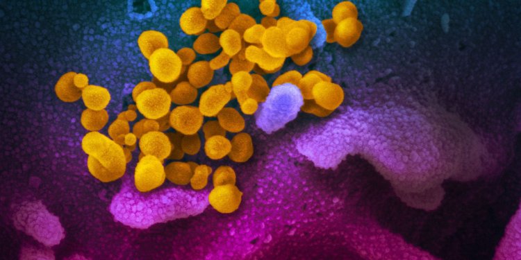 Covid-19: estudo aponta aumento de bactérias resistentes em UTIs