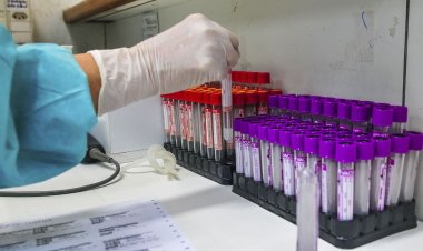 Campanha Fevereiro Laranja alerta sobre a leucemia