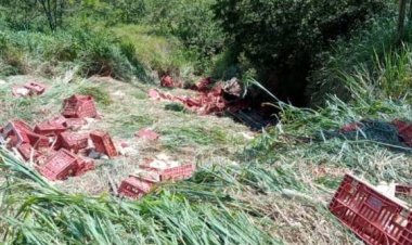 Motorista morre em acidente na Serra de São Geraldo