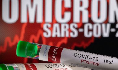 Fiocruz: Ômicron representa 99% dos genomas sequenciados em fevereiro
