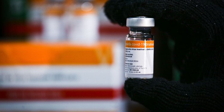 Butantan pede indicação da Coronavac para crianças de 3 a 5 anos