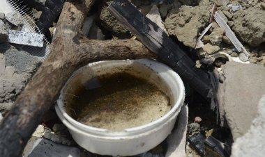 São Paulo já soma mais casos de dengue do que em todo ano passado