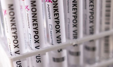 Ministério da Saúde confirma mais dois casos de varíola dos macacos