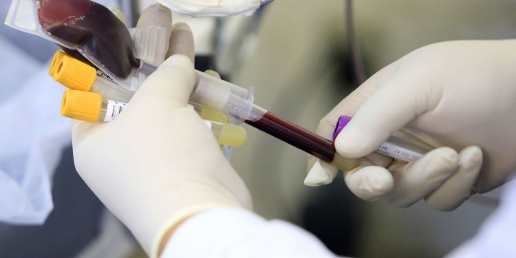 Ministério da Saúde lança campanha de incentivo à doação de sangue