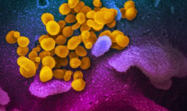 Covid-19: cenário epidemiológico no Rio apresenta estabilidade