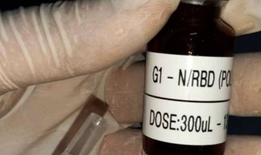 Vacina brasileira contra covid-19 pode ter testes em humanos em 2023