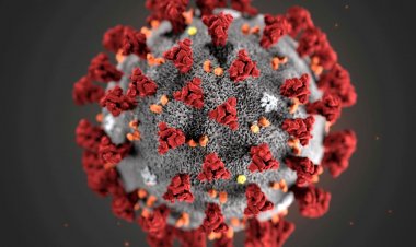 Covid-19: Brasil registra 9,9 mil novos casos e 82 óbitos em 24 horas