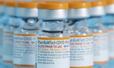 Anvisa aprova vacina da Pfizer para crianças de 6 meses a 4 anos