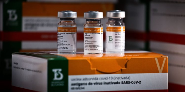 Butantan entrega 1 milhão de doses da CoronaVac para vacinar crianças