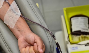 Hemorio registra queda de 25% no número de doações em setembro