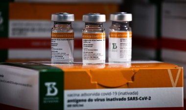 Butantan entrega 1 milhão de doses de CoronaVac para crianças