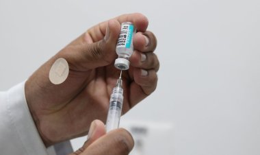 Covid-19: São Paulo inicia cadastro de crianças para xepa de vacina