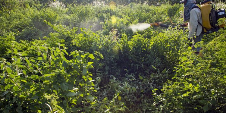 Sem acordo, votação do PL dos Agrotóxicos é adiada para terça-feira