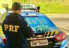 PRF prende homem que trazia droga do Rio de Janeiro para Leopoldina
