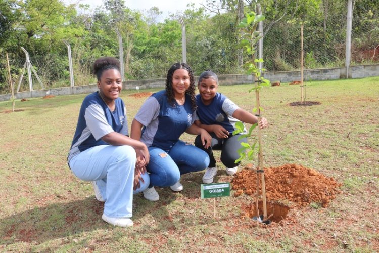 Abertas as inscrições para municípios interessados em participar do Jovens Mineiros Sustentáveis 2024