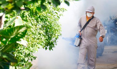 Ubá: Confira a agenda de visitas dos agentes de combate a endemias