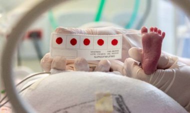 Teste do Pezinho completa 31 anos em Minas Gerais