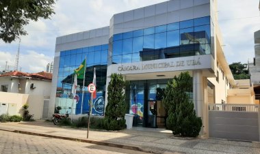 Vereadores são eleitos por sistema proporcional de votação; entenda