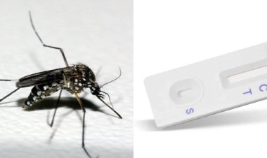 Governo de Minas vai distribuir testes rápidos de diagnóstico de dengue aos municípios