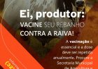 Divinésia: Secretaria de Agricultura alerta para a importância da vacinação antirrábica em bovinos
