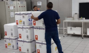 Minas Gerais inicia distribuição de 640 mil doses da vacina contra a Influenza