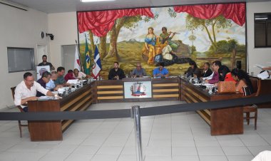 Câmara Municipal de Ubá aprova instituição do Dia Municipal de Conscientização da Luta em Prol das Pessoas com Deficiência