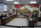 Câmara Municipal de Ubá aprova projetos sobre acessibilidade no transporte e transparência pública