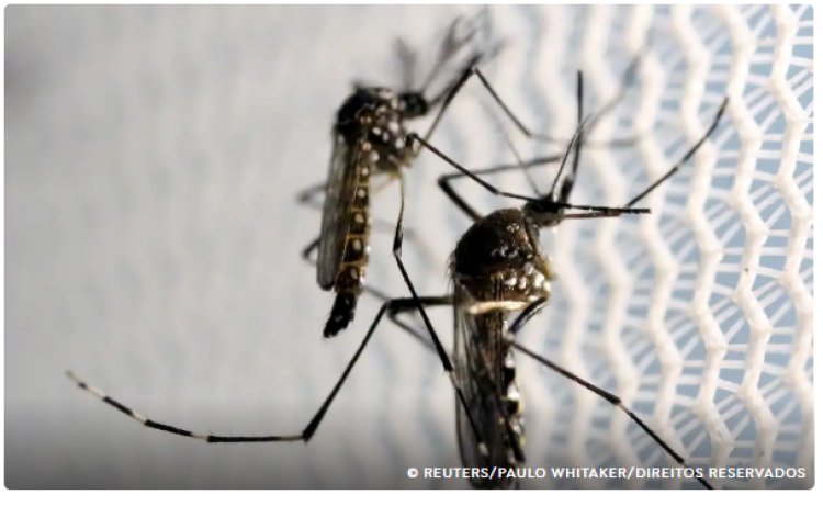 Dia D de combate ao Aedes aegypti ocorre neste sábado em todo o país