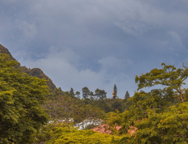 Defesa Civil alerta para risco de chuvas intensas e tempestades em Minas neste fim de semana