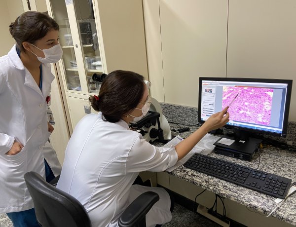 Menos de 1% dos hospitais do Brasil: Fundação Cristiano Varella conquista acreditação máxima da ONA