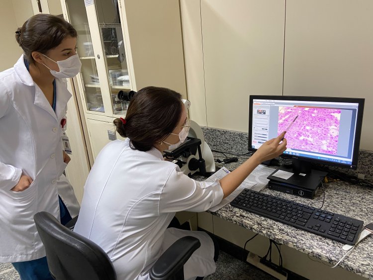 Menos de 1% dos hospitais do Brasil: Fundação Cristiano Varella conquista acreditação máxima da ONA